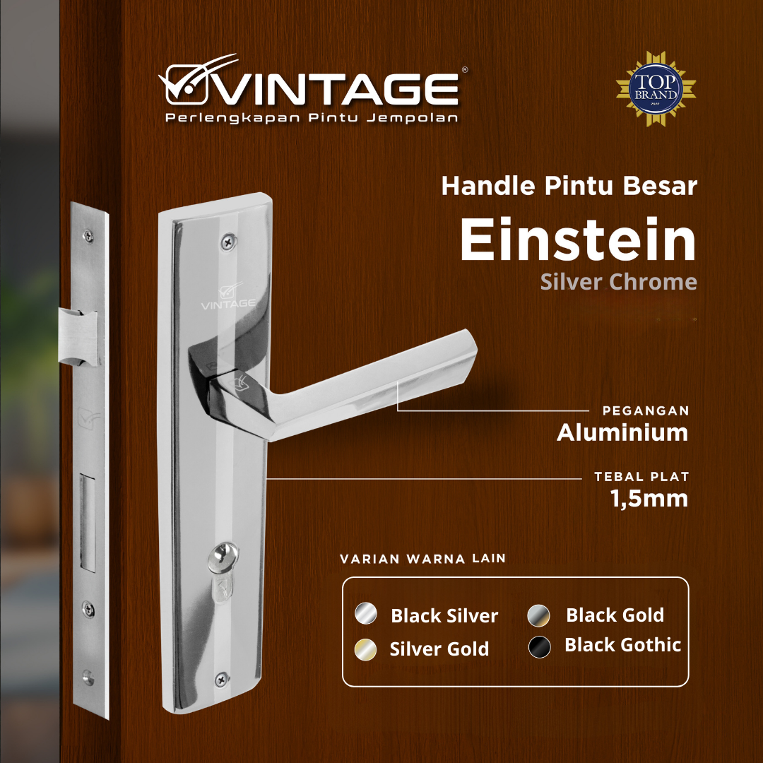 HANDLE PINTU RUMAH BESAR VINTAGE EINSTEIN